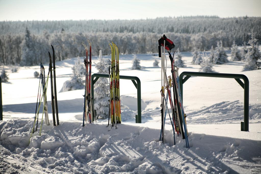 Hotel Krusnohorsky Dvur Cínovec Kültér fotó