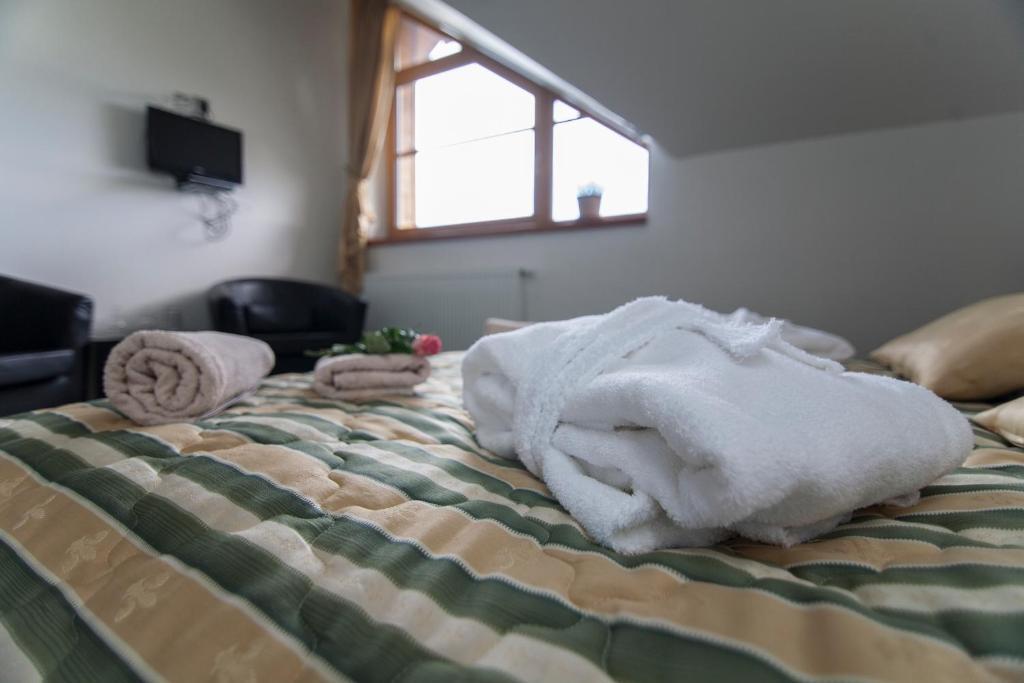 Hotel Krusnohorsky Dvur Cínovec Szoba fotó
